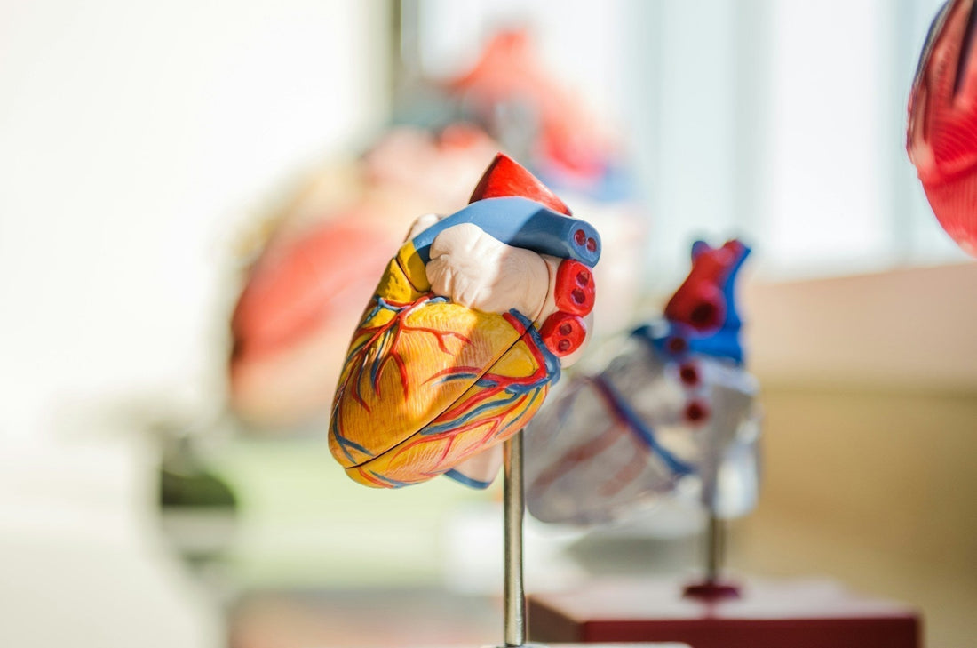 Behind the Tools: What a Vascular Access Specialist looks for in surgical equipment