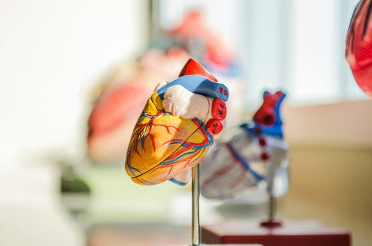 Behind the Tools: What a Vascular Access Specialist looks for in surgical equipment